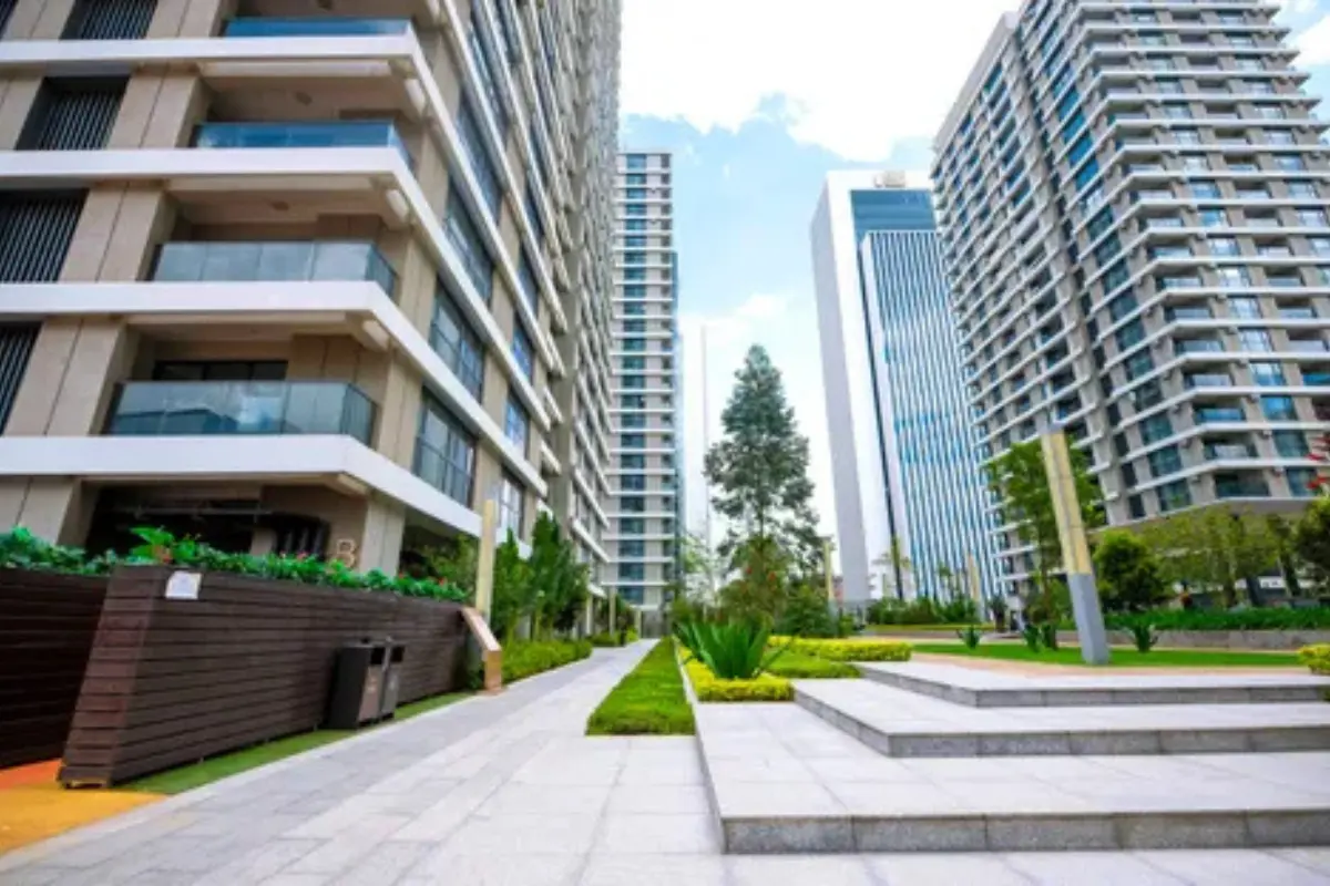 Solidus Consultants Real Estate