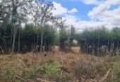 0.74 acres Kaputei, Kitengela