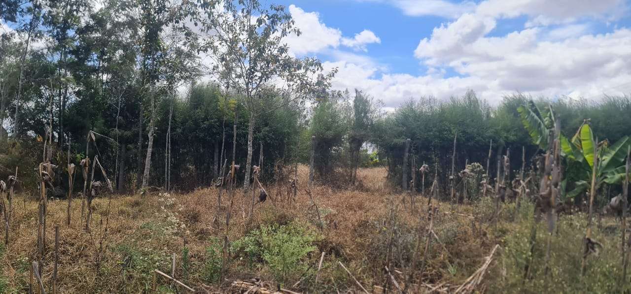 0.74 acres Kaputei, Kitengela