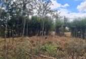 0.74 acres Kaputei, Kitengela