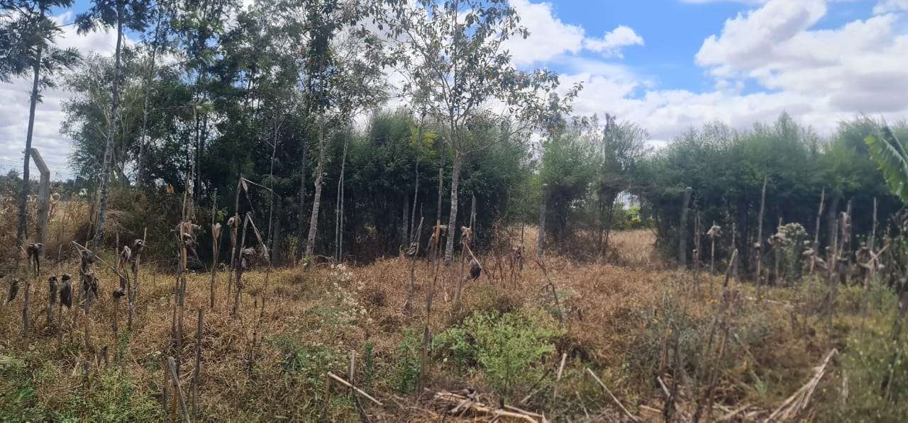 0.74 acres Kaputei, Kitengela