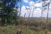 0.74 acres Kaputei, Kitengela