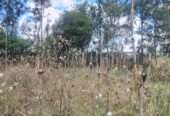 0.74 acres Kaputei, Kitengela