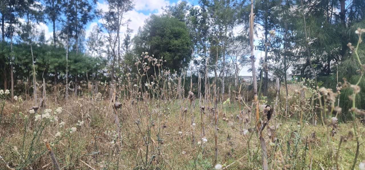 0.74 acres Kaputei, Kitengela