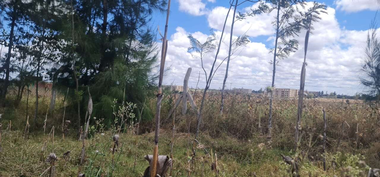 0.74 acres Kaputei, Kitengela