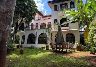 846bbe24-bf35-4658-ba76-861c3fa50a9e